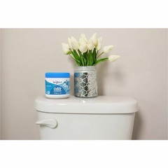 Britannia 900090CT Gel Air Freshener 14oz Cool Clean