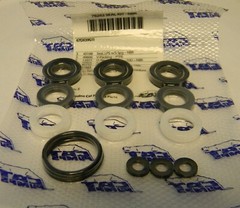 Cat Pump 76262 Seal Kit For 67DX39G1 and DXPW60605 Pressure Pump 67DX391l