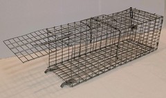 Pair of Live Animal Traps 1-18″ Little Giant Reinforced Single Door Entry 1- 16″