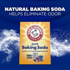 ARM & HAMMER Powder Laundry Detergent, Free of Perfume 98.1 Ounce (Pack 1)