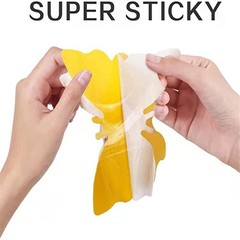 Sticky Insect Traps 40 Pcs – Gnats Fruit Fly for Indoors House – Yellow