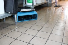 XPOWER PL-700A 1/3 HP 3 Speed Low Profile Fan Air Mover Carpet Dryer w/ Outlets