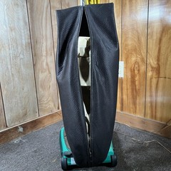 Bissell BigGreen Commercial BG101H Upright Vacuum Cleaner 870W Heavy Duty