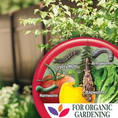 Bonide 8066 Captain Jack s Bacillus Thuringiensis BT Organic Worm & Caterpillar