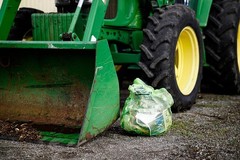 Reli. Biodegradable 40-45 Gallon Trash Bags 250 Count Bulk ASTM D6954 Green