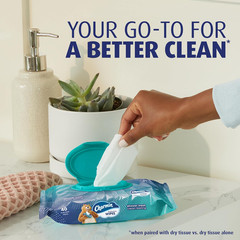 Flushable Wipes, 480 Total Wipes (12 Packs of 40)