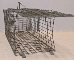 Pair of Live Animal Traps 1-18″ Little Giant Reinforced Single Door Entry 1- 16″