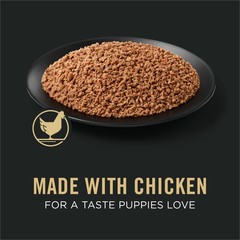 Grain Free Wet Puppy Food Classic Chicken Entrée 13 oz Can