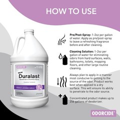 Duralast French Lavender Vanilla Odor Eliminator