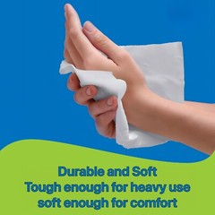 Paper Hand Towel 6 Rolls White 8 inch 350 ft 1 Ply Hardwound Dispensers