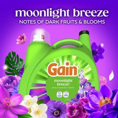 Gain Liquid Laundry Detergent with Odor Defense, 177 Fl Oz (Pack of 1)