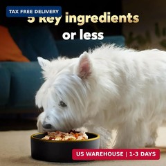 Cesar Simply Crafted Adult Wet Dog Food Toppers for Dry Food, Wet Food for Dogs,