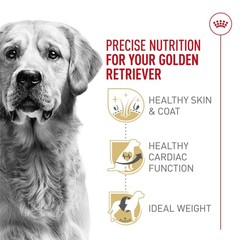 Royal Canin Breed Health Nutrition Golden Retriever Adult Dry Dog Food 5 Lb Bag