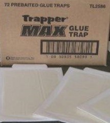 Trapper Max Mouse Glue Traps ( 72 Pack ) Glue Boards Trapper Max Mouse Traps