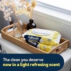 Cottonelle Summer Fresh Scent Flushable Wipes, 2 Packs, 42 Wipes Each