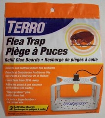 Terro T231 Flea Traps – 3 Refill Glue Boards with SuperGrabber Glue – Combo Ship