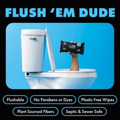 DUDE Wipes Unscented Flushable – 48 Count (Pack of 6), Multi