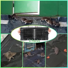 Qualirey 5 Pack 24 x 11” Mouse Glue Traps, Anti Slip Rat Snake Rodent…