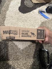 MaxCatch 72MB Indoor Mouse & Insect Glue Trap Boards, 36 Count
