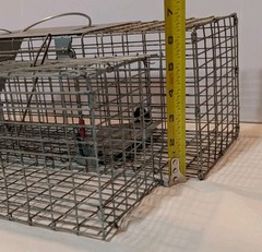 Pair of Live Animal Traps 1-18″ Little Giant Reinforced Single Door Entry 1- 16″
