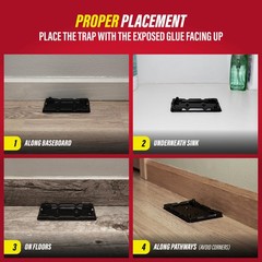 Catchmaster-16 Mouse & Insect Glue Traps, Heavy-Duty 16-Pack Regular, Black