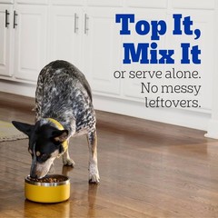 Pedigree Choice Cuts in Gravy Adult Wet Dog Food 16-Count Beef, Bacon, & Cheese