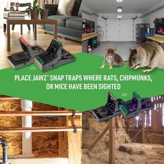 JT Eaton 409 Jawz Indoor Plastic Mouse Trap for Solid or Liquid Bait, Black