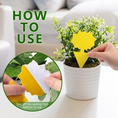 Fruit Fly Traps Indoor Fungus Gnat Trap 48PCS for Plants Yellow 48PCS,