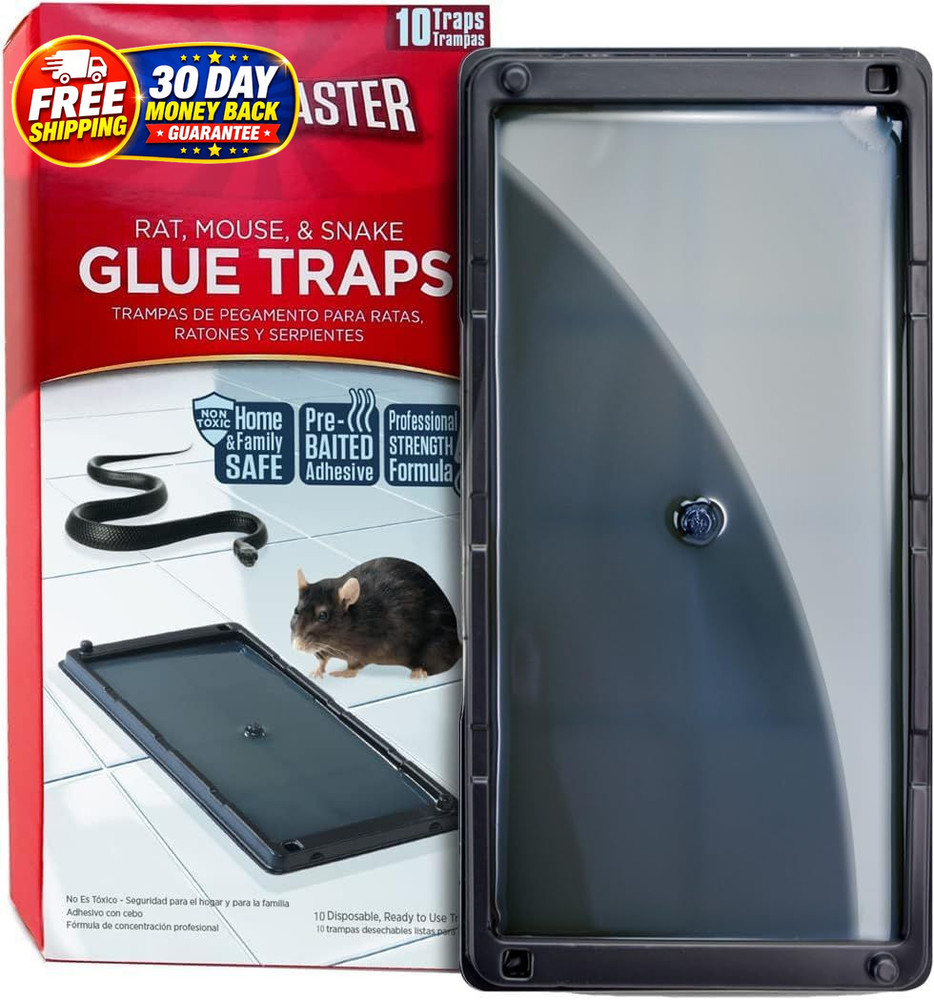 Rat, Snake and Mouse Traps 10Pk, Large Bulk Glue Rat 10 Pack, Red