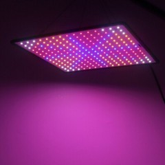 LED Plant Grow Light Full Spectrum Plant UV Veg Lamp For Indoor Hydroponic