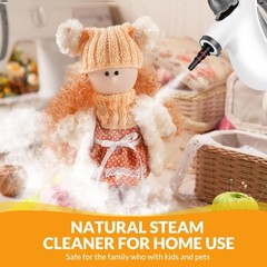 Handheld Pressurized Steam Cleaner with 12 pcs Accessories, Small, Deep Gray