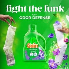 Gain Liquid Laundry Detergent with Odor Defense, 177 Fl Oz (Pack of 1)