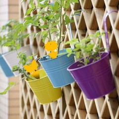 96PCS Fruit Fly Sticky Traps, Gnat Traps Insect Trap for Plants Kitchen Indoor a