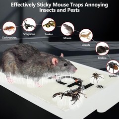 16 Pack Mouse Glue Trap,Mouse Traps Indoor for Home,Adhesive 16 Pack, clear