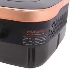 1500W Steam Cleaner Portable Steam Cleaner With Various Nozzles Steam Cleaner