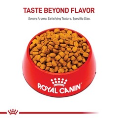Royal Canin Breed Health Nutrition Rottweiler Puppy Dry Dog Food 30 Lb Bag