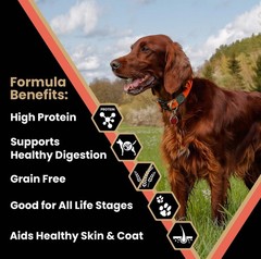 Victor Super Premium Dog Food Grain Yukon River Canine Supports Immune