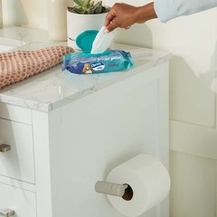 Charmin Flushable Wipes 2 Pack 40 Sheets Portable Cleaning Wipes