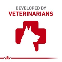 Royal Canin Yorkshire Terrier Adult 8 Dry Dog Food For Aging Dogs