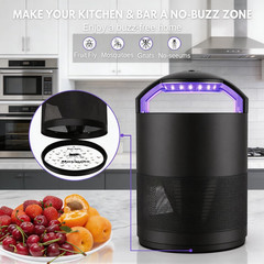 Fruit Fly Traps for Indoors, Catcher & Killer with Upgraded Purple Black