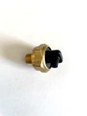 Pressure Washer 1/4″ MPT General Pump Thermal Relief Valve