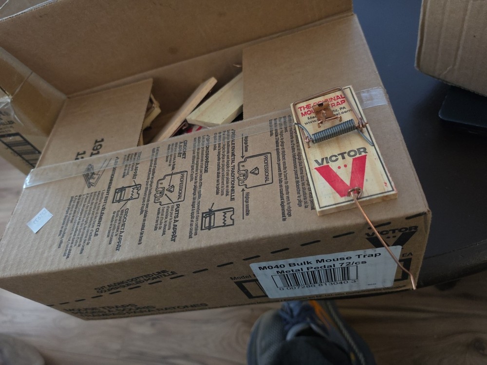 Victor M040 Metal Pedal Mouse Traps 72 Pack Victor Snap Trap Wood Mice Traps