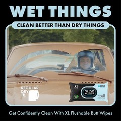 DUDE Wipes Fragrance Free Hemorrhoid Flushable 48 Count (Pack of 3), White