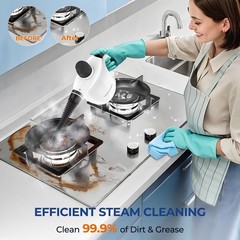 Steam Cleaner, Pressurized Handheld 13pcs Standard Size, Black&White