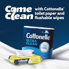 Cottonelle Summer Fresh Scent Flushable Wipes, 2 Packs, 42 Wipes Each