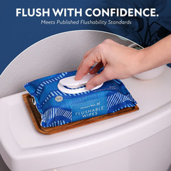 Member’s Mark Flushable Wipes, Fresh Scent, 540 Count
