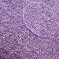 QTY 5: Scotch-Brite Purple Diamond Floor Pad Plus 17in Round Polishing pads