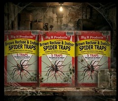 3 Packs (15 Traps) Big H Products Brown Recluse and Indoor Spider Traps