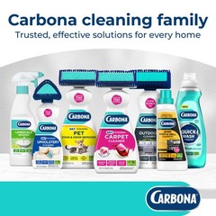 Carbona Silver Wipes | Metal Cleaner & Polish 12 Count (Pack of 1), No Color