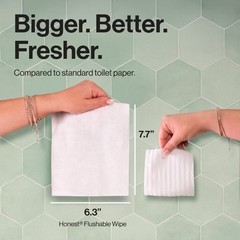 Flushable Wipes – 126ct